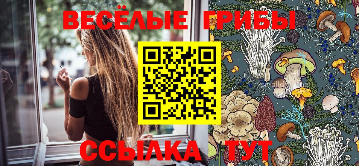 Псилоцибиновые грибы MAGIC MUSHROOMS Луховицы